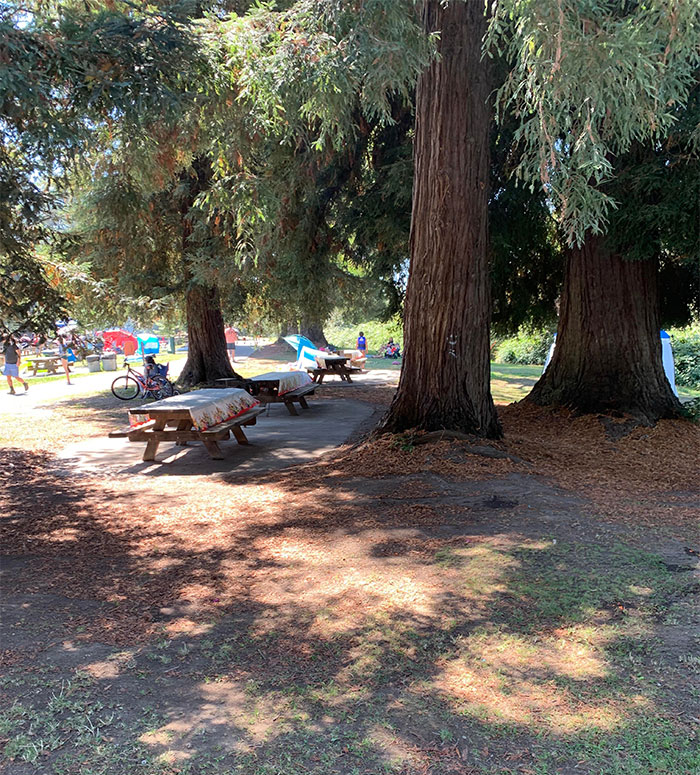 "Don't Be The One To Mess It Up": Entitled Note On Public Park Benches Asks People To Not Sit There Because Of A Kid's Birthday "Don't Be The One To Mess It Up": Entitled Note On Public Park Benches Asks People To Not Sit There Because Of A Kid's Birthday