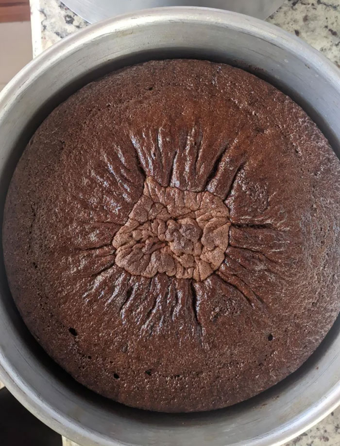 This Is How My Wife's Chocolate Cake Looks Like