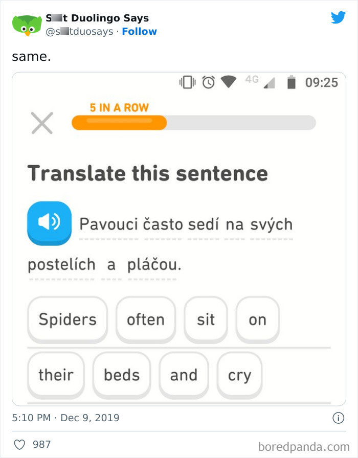 Funny Duolingo Sentences
