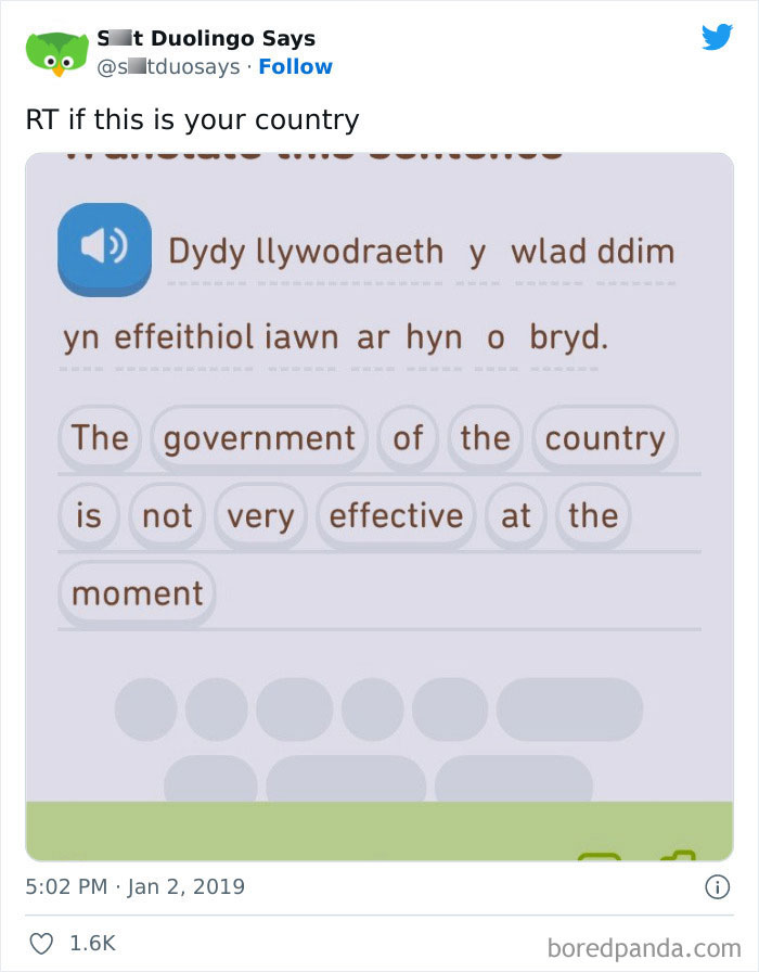 Funny Duolingo Sentences