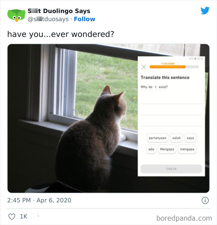 Funny Duolingo Sentences