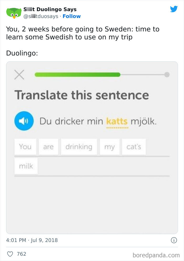 Funny Duolingo Sentences