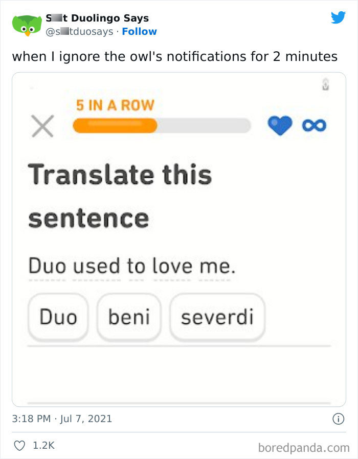 Funny Duolingo Sentences