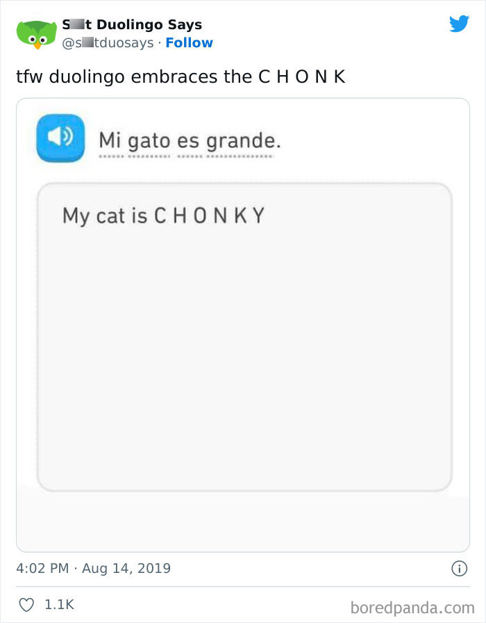 Funny Duolingo Sentences