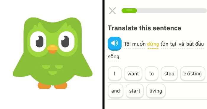 “Linguistic Gold Provided By Duolingo”: 40 Of The Funniest And Most Unexpected Prompts Found On The App