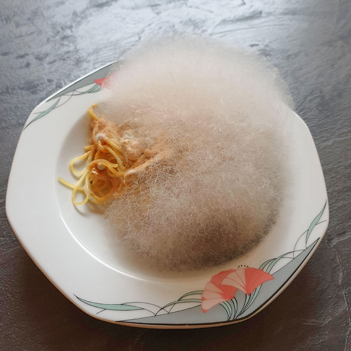 Forgot Spaghetti With Mushrooms In The Microwave For A Week. Now It's A Floofly Ball Of Mold