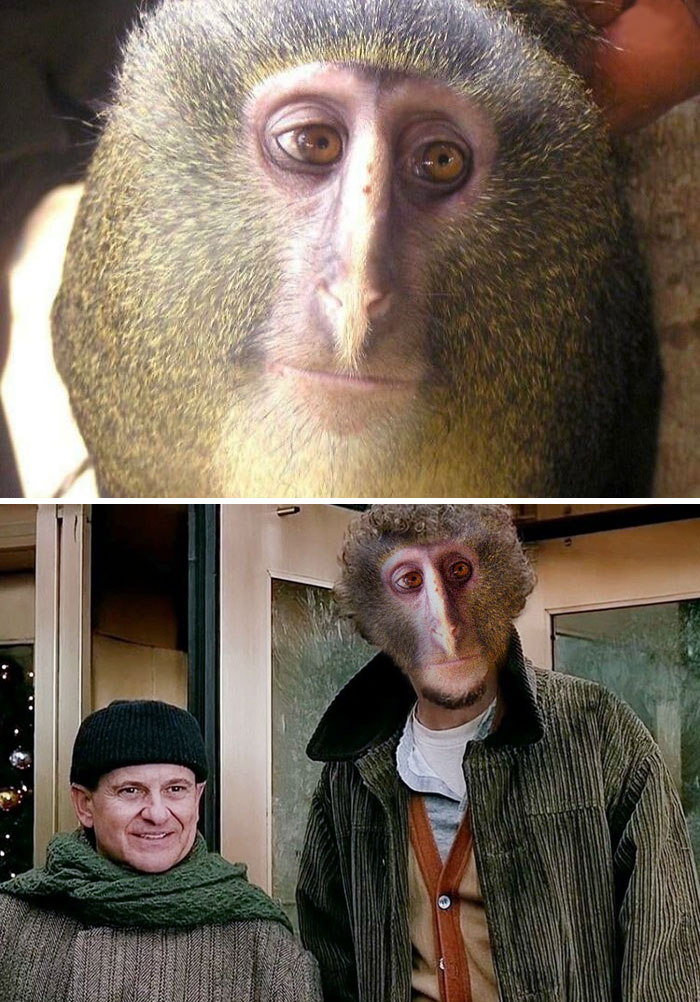 This Monkey Face
