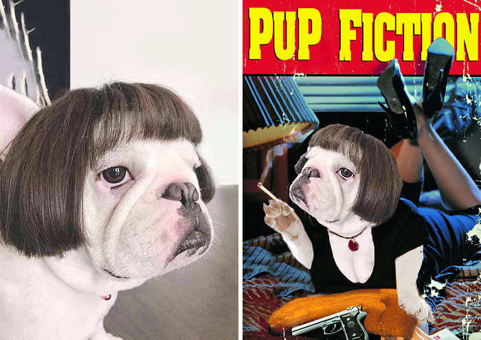 Dog With A Wig On