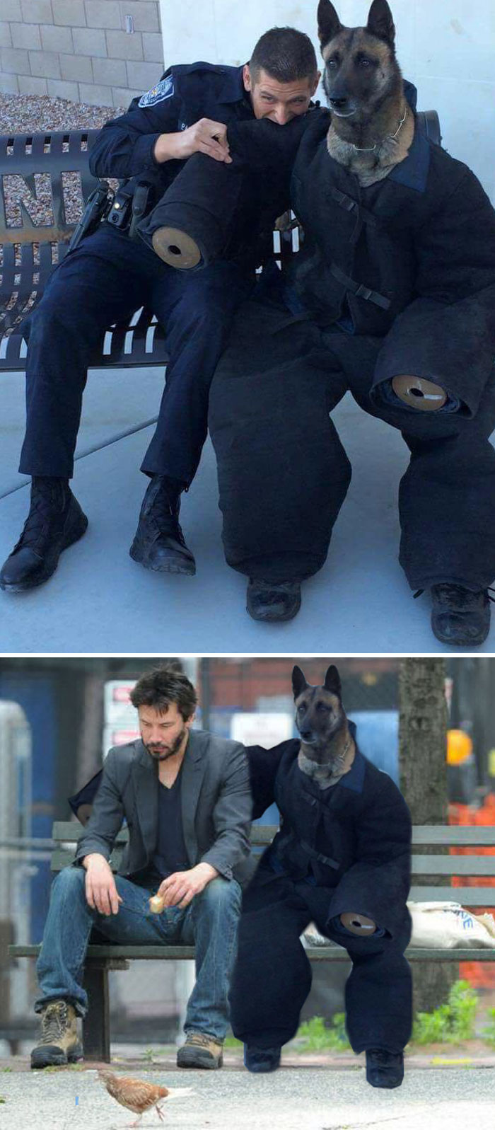 Policeman Bites Dog