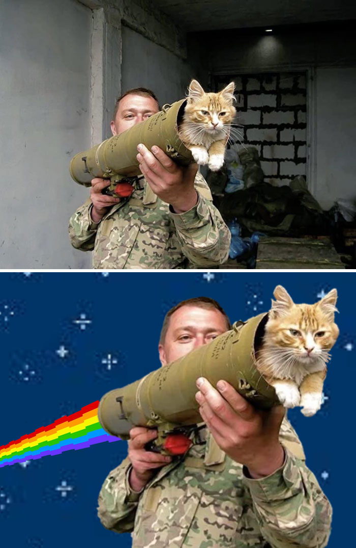 Ginger Tabby In Ukrainian Rocket Launcher