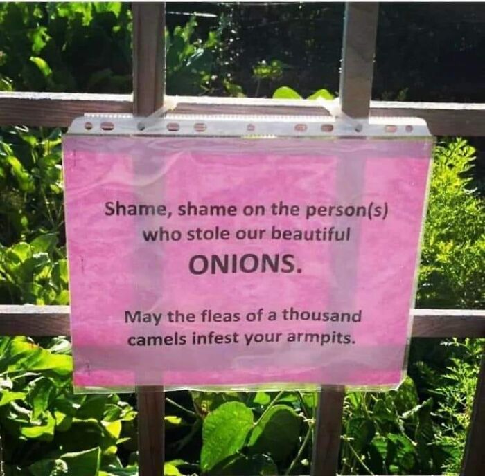 50 Times People Found Weird Or Hilarious Disclaimers That Were Clearly 50 Times People Found Weird Or Hilarious Disclaimers That Were Clearly