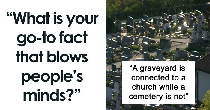35 Random Jaw-Dropping Facts, As Shared In This Online Group