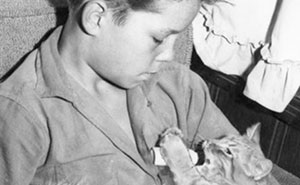 "Cats of Yore": Twitter Account Collects Old Photos Of Cats, And Here Are 70 Of The Best Ones