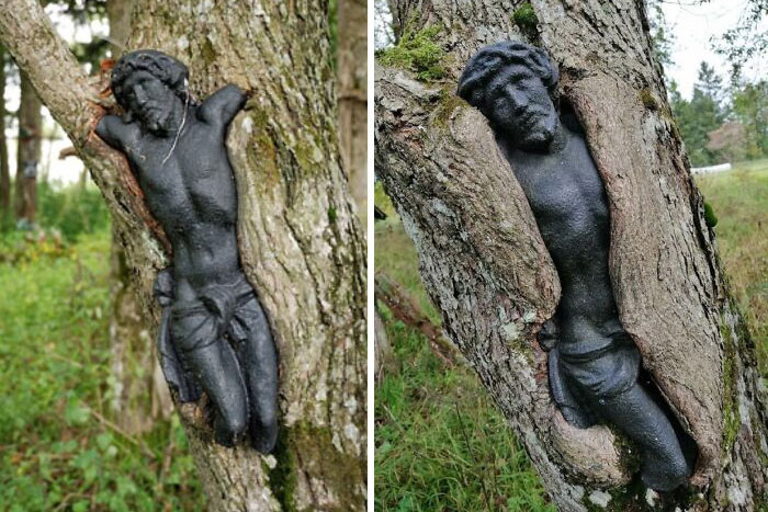 Esta escultura de Jesús en un cementerio abandonado de Polonia es lentamente absorbida por un árbol