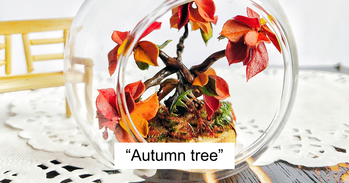 I Create RealisticLooking Miniature Trees And Here Are Some Of My