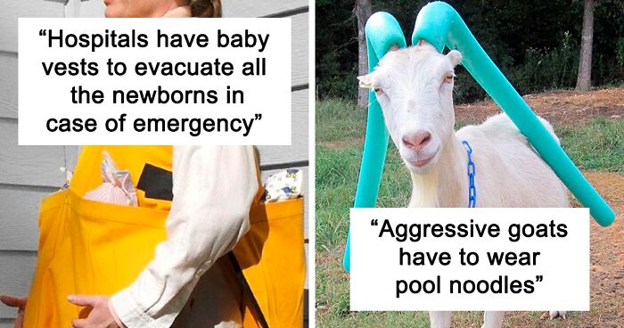 The ‘Today Years Old’ Social Media Project Shares Cool Facts, And Here Are 50 Of The Very Best Ones