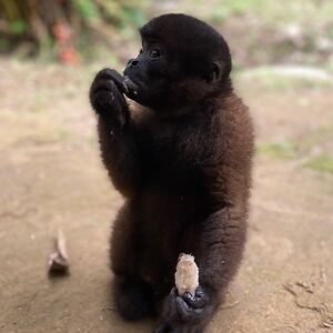 noee-reyes-nr avatar