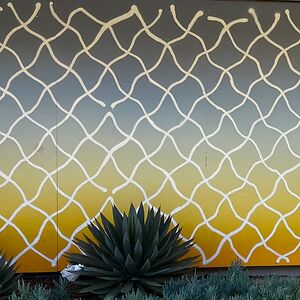 aliciacypressi avatar