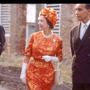 barbarawhitehurst avatar