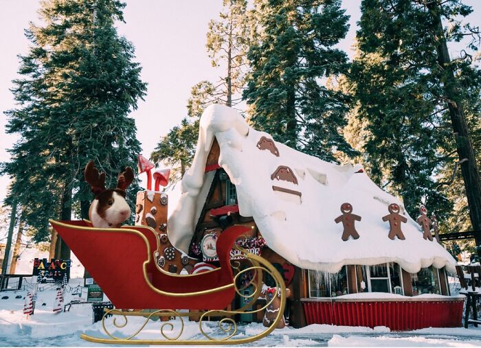 Jerry The Guinea Pig’s Adventures Jerry The Guinea Pig’s Adventures