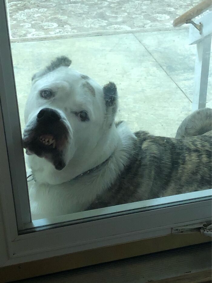 “Keep That Up And Your Face Will Freeze That Way…”