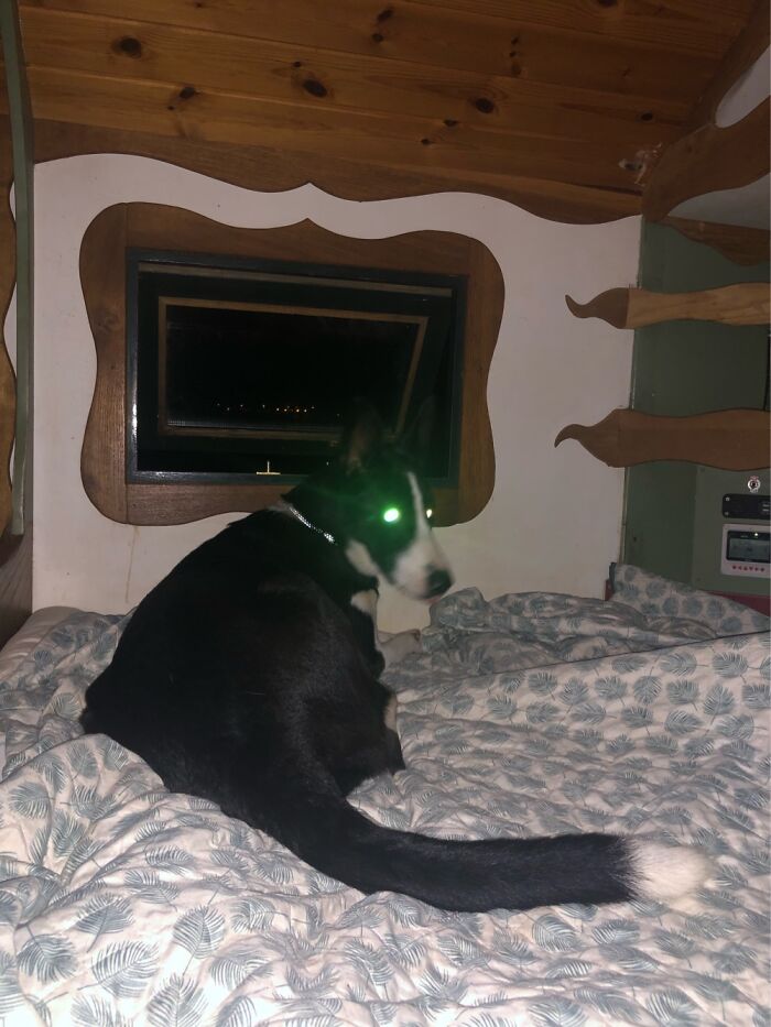 Laser Eyes