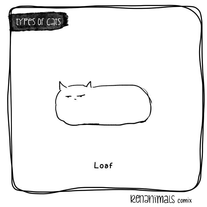Loaf