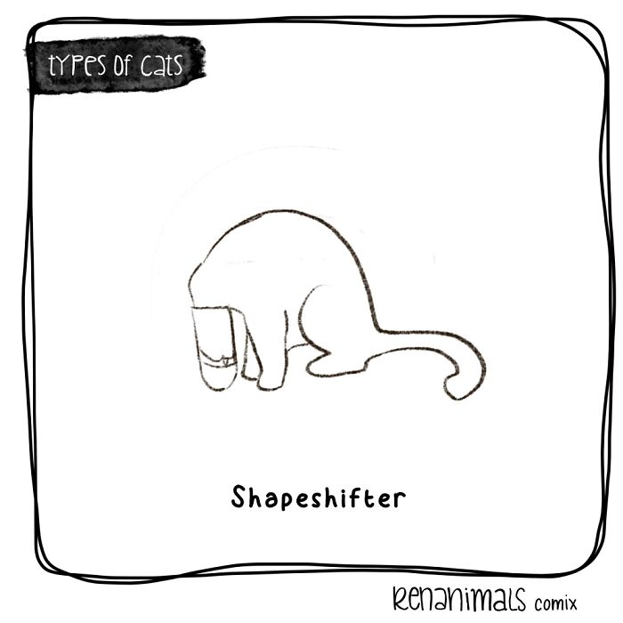 Shapeshifter