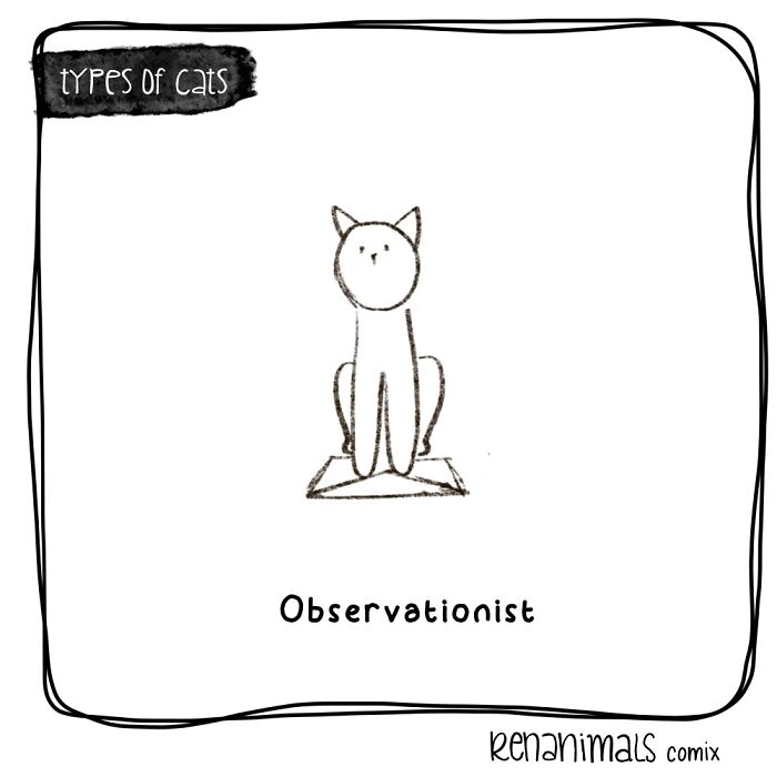 Observationist