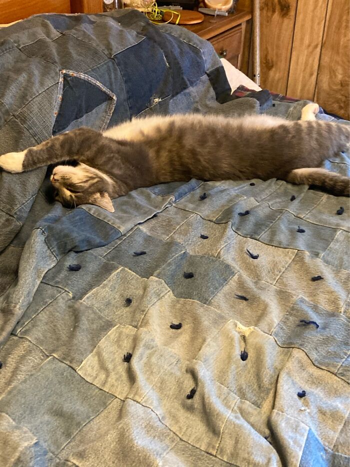 Not Weird But Adorable