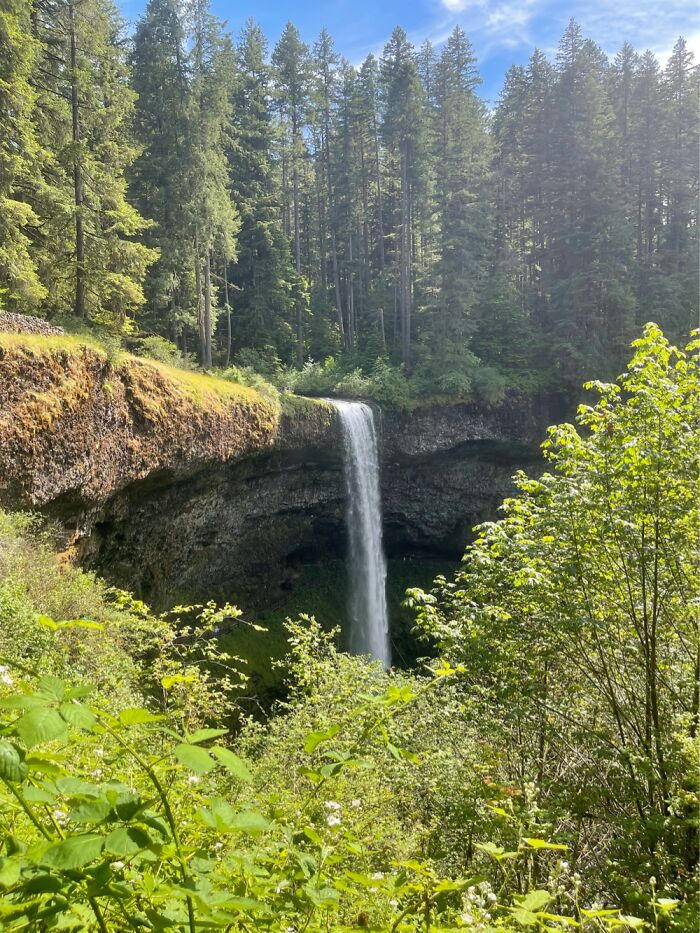 Silver Falls In Oregon