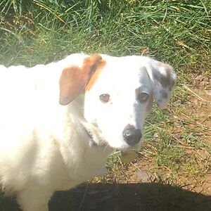 kaiaschulz979 avatar