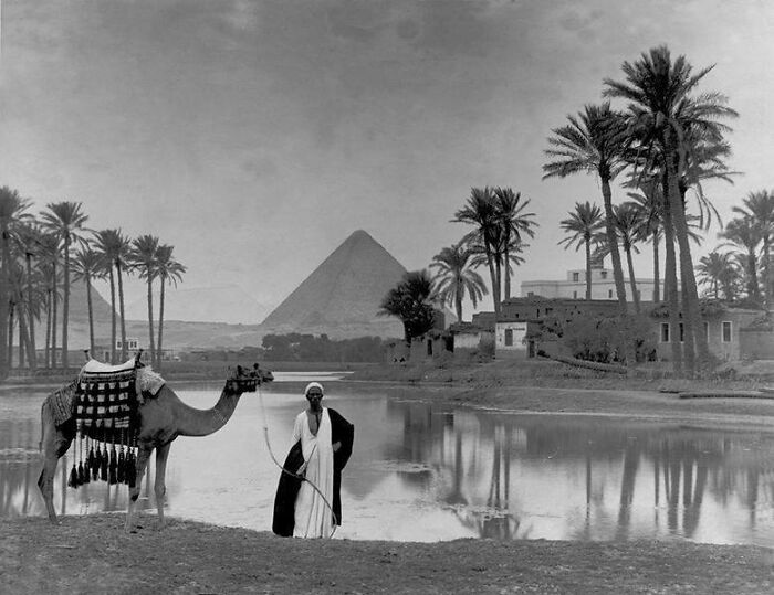 Man in a desert oasis near the great pyramid of Giza 