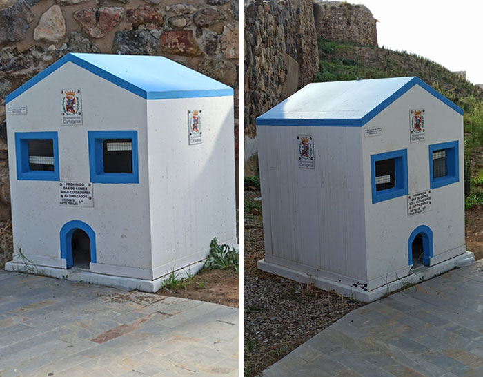 El Ayuntamiento de Cartagena, España, construyó una casa para los gatos