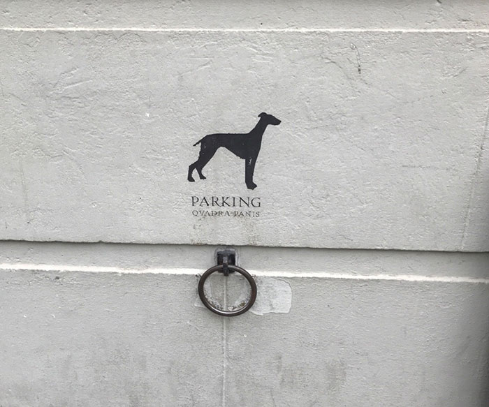 Dog Parking In Madrid