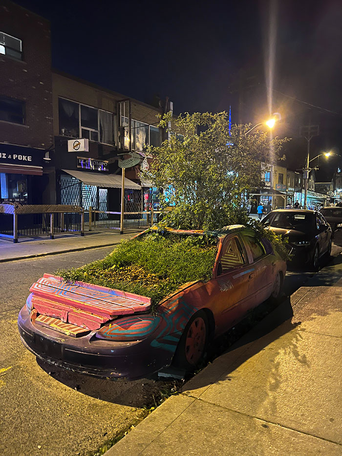 I Found A Car In Toronto Overgrown With Plants, On A Busy Street, Parked Beside Other Cars