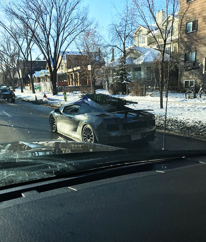 Your Eyes Are Not Deceiving You. This Is A Lamborghini On Memorial Drive With Two Christmas Trees Strapped To The Roof. Only In Calgary, Canada