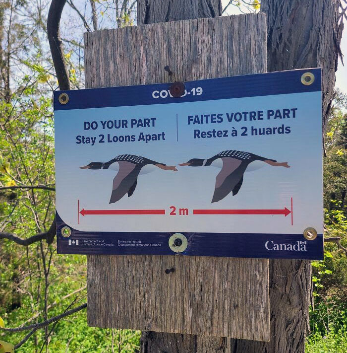 This Social Distancing Sign In Canada Measures With Loons