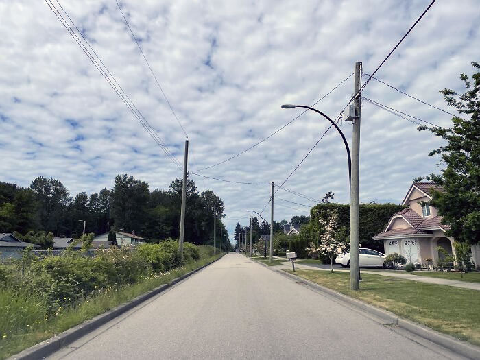 Zero Avenue In Surrey, BC, Canada. The Houses In The Right Are In Canada, The Houses On The Left Are In The United States