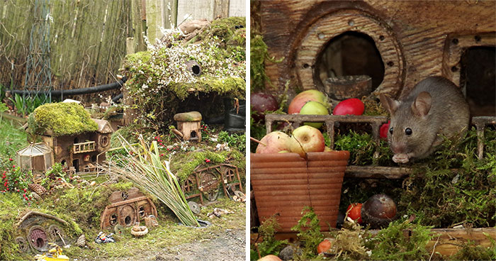 I Built A Scaled-Down Village For Wild Mice In My Garden, And They Love It