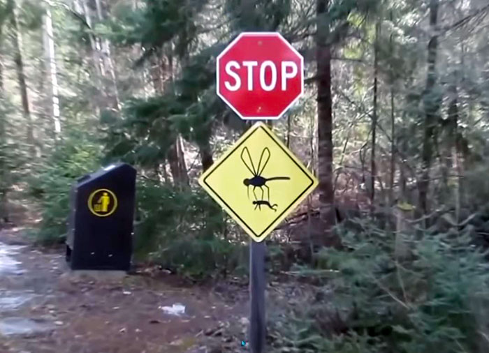 This Weird Road Sign