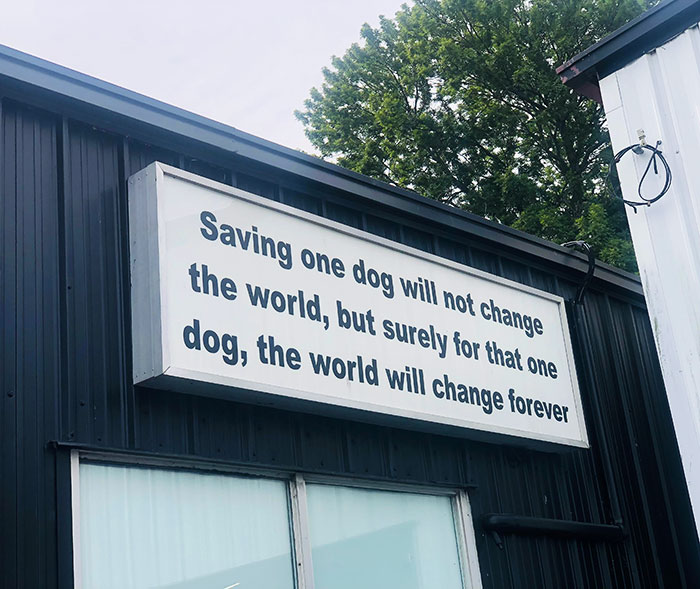 This Sign Outside A Local Shelter