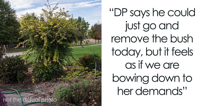 “This Is Likely To Look Ridiculous”: Petty Woman Complains About Neighbor’s Bush, Demands They Rip It Out Or She Will Put A Fence Around Her Front Drive