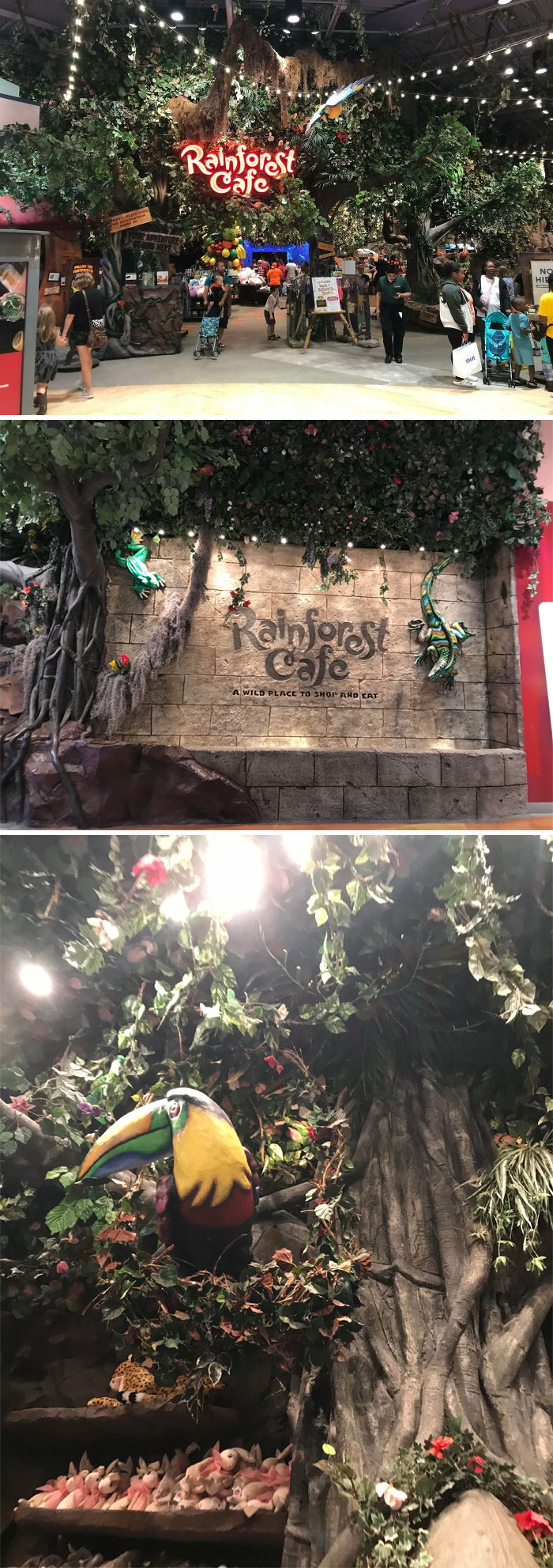 Just Found A Rain Forest Cafe
