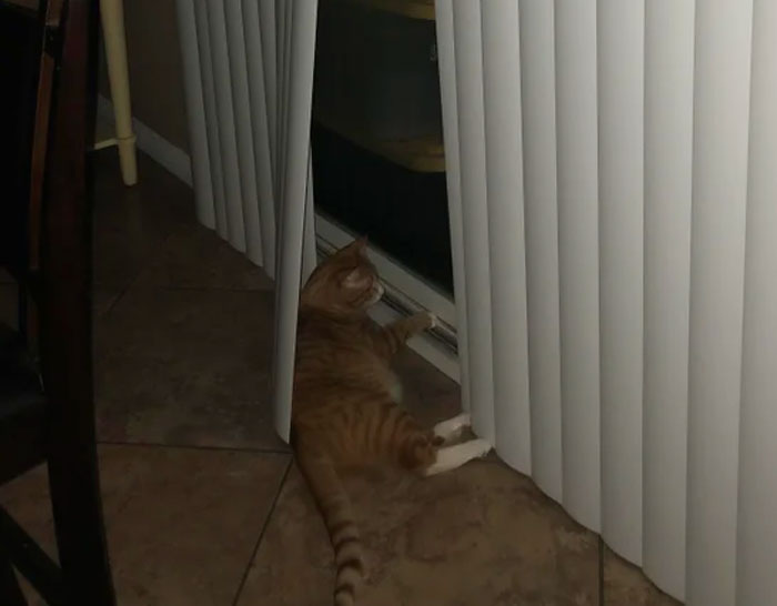 He Is Doing His Night Watch