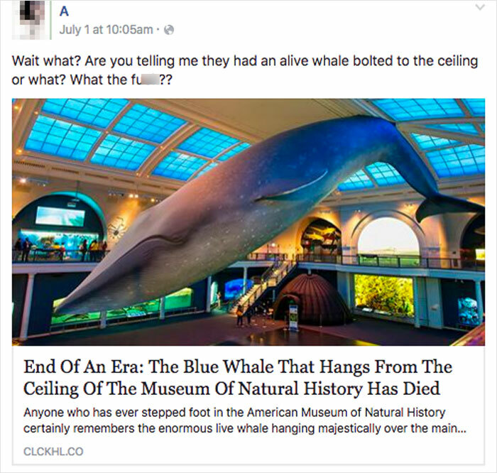 End Of An Era: The Blue Whale That Hangs From The Ceiling Of The Museum Of Natural History Has Died