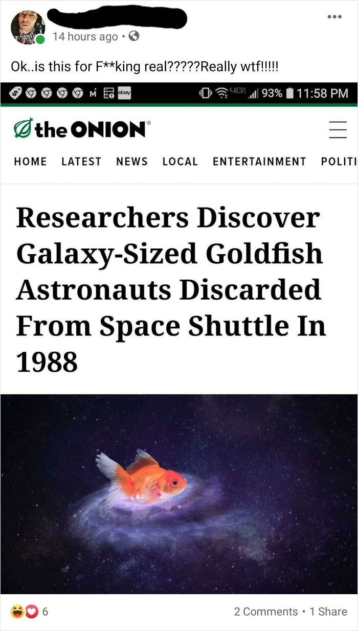 Oh Boy, Former Coworker Eats The Onion With The Peel And Everything