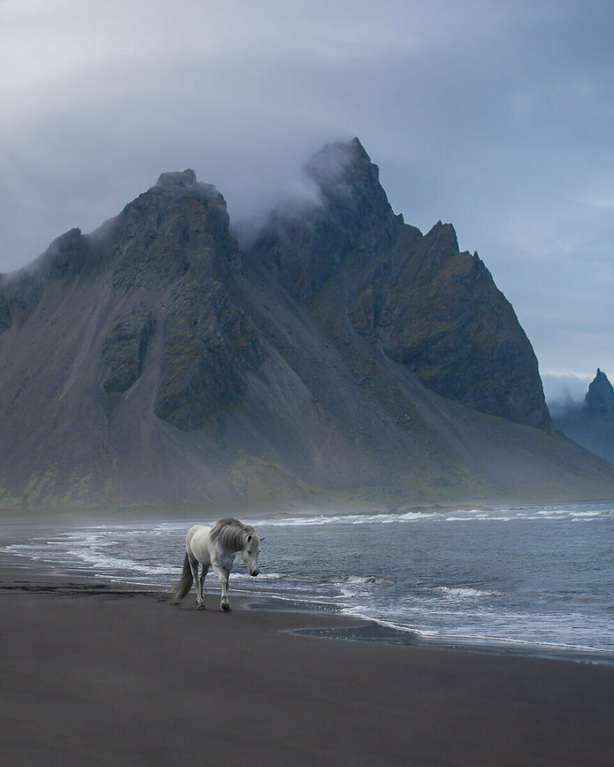 Styrmir In Front Of The Mighty Vestrahorn Mountain