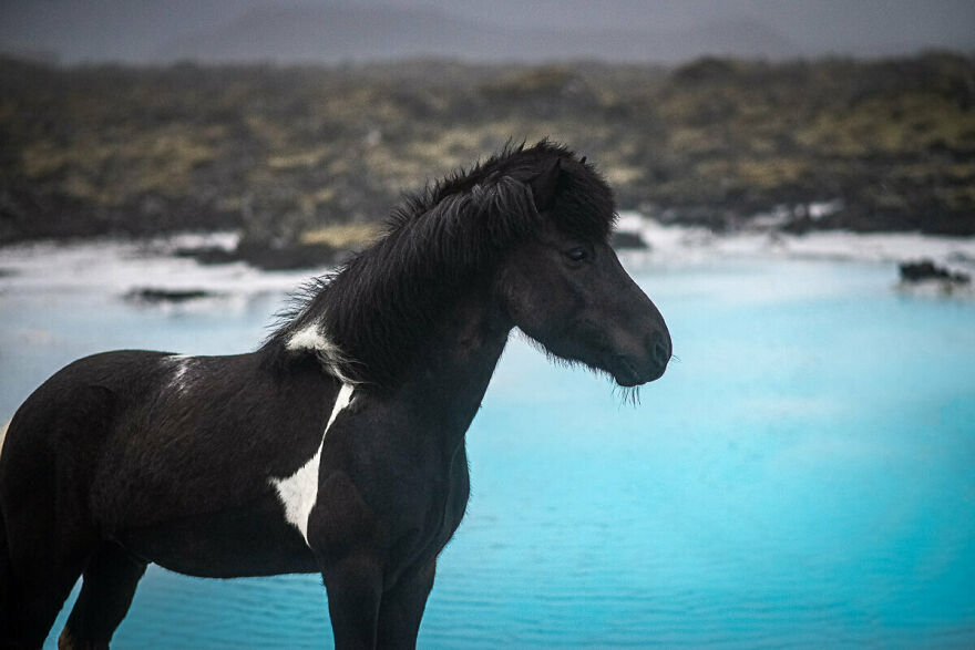 Naedir On A Misty Afternoon