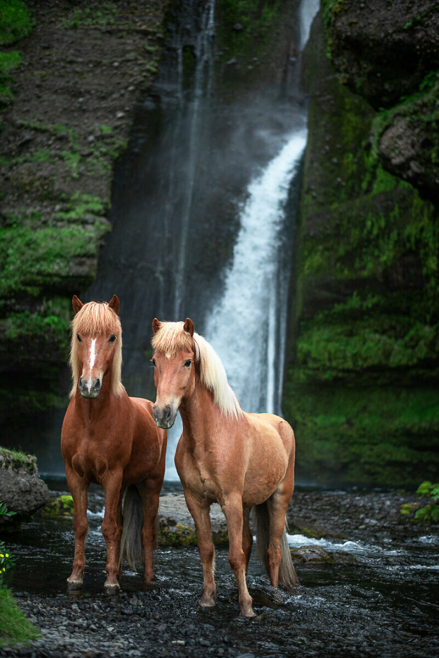 These Two Are Friends For Life